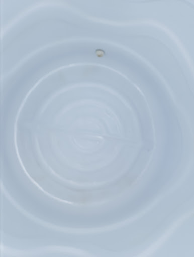 Photo from customer review